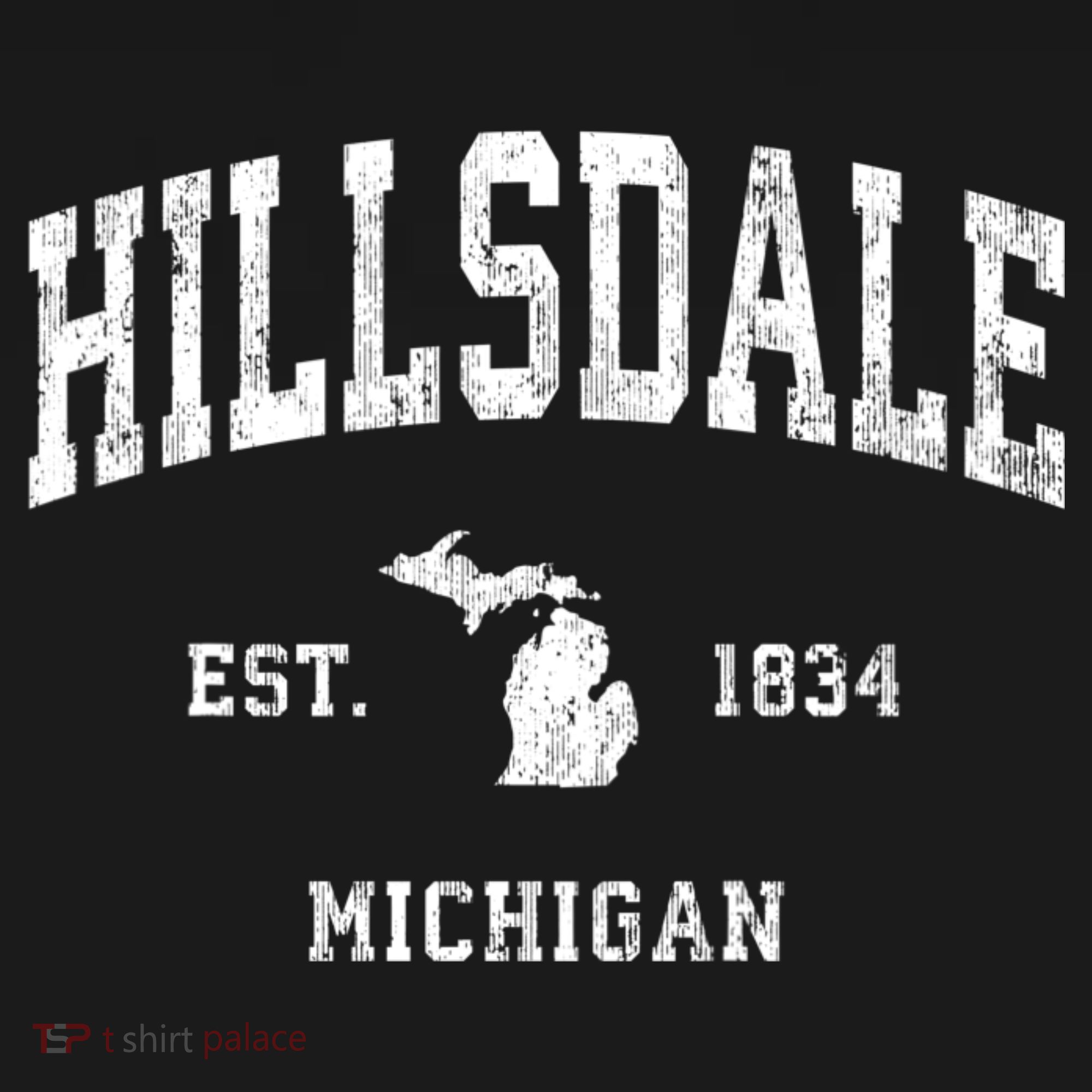 Hillsdale Michigan Mi Vintage Athletic T-Shirt