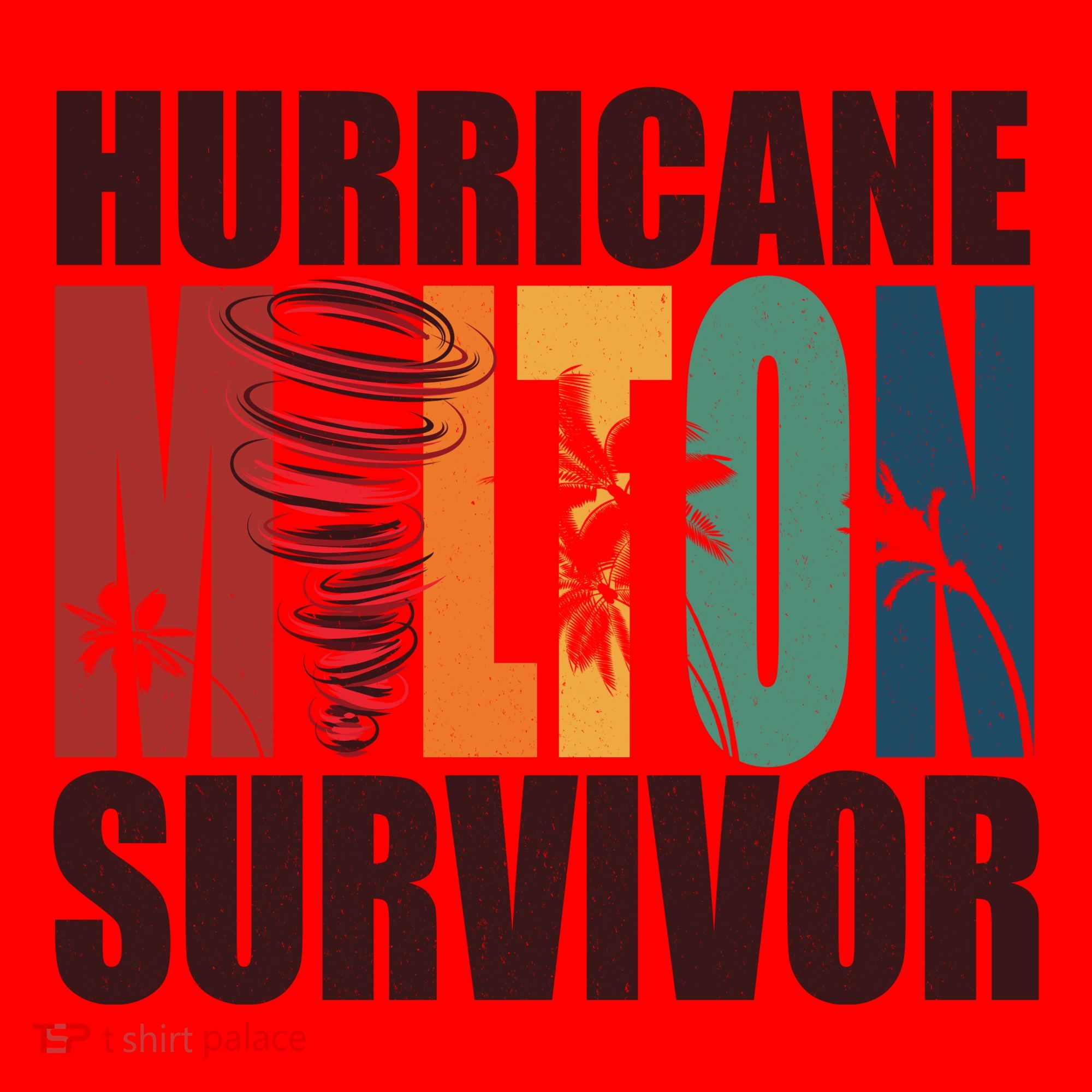 Hurricane Milton Survivor Florida Awareness Santa Hat