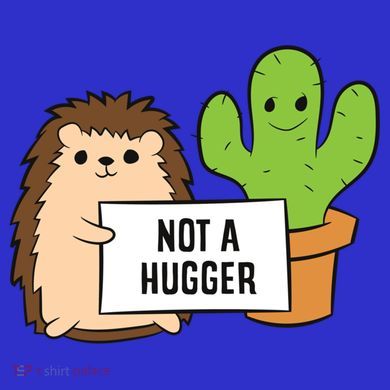 Hedgehog Not A Hugger Cactus Hedgehog Great Gift Women's Tri-Blend 3/4-Sleeve Raglan Shirt