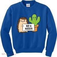 Hedgehog Not A Hugger Cactus Hedgehog Great Gift Kids Sweatshirt thumb 0