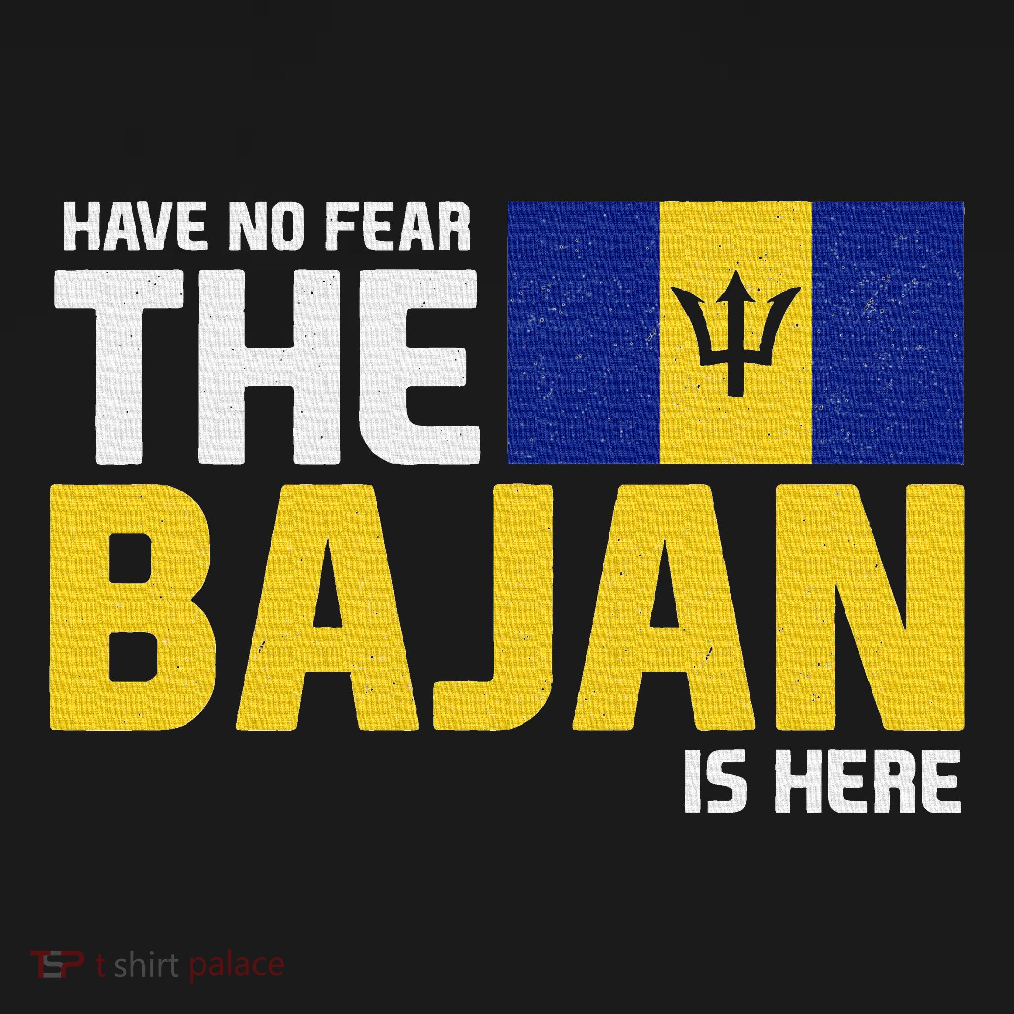 Have No Fear The Bajan Is Here! Barbados Pride Women's Hoodie