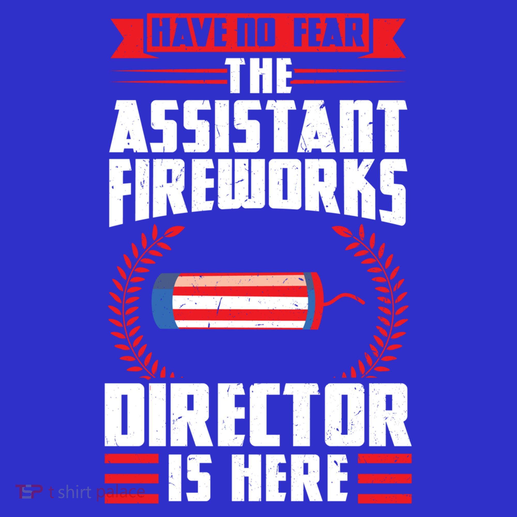 Have No Fear The Assistant Fireworks Director Firework Usa Funny Gift Visor