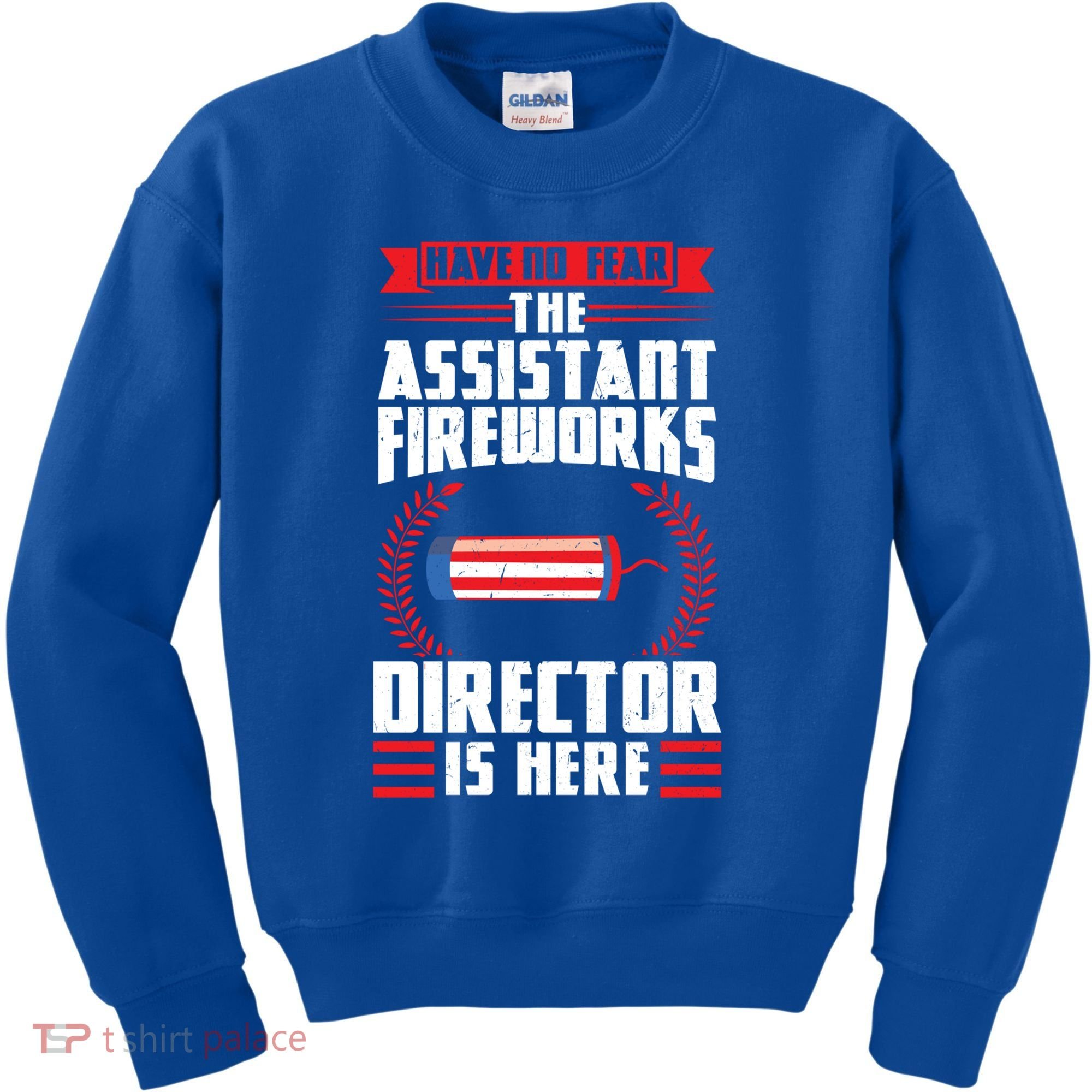 Have No Fear The Assistant Fireworks Director Firework Usa Funny Gift Kids Sweatshirt