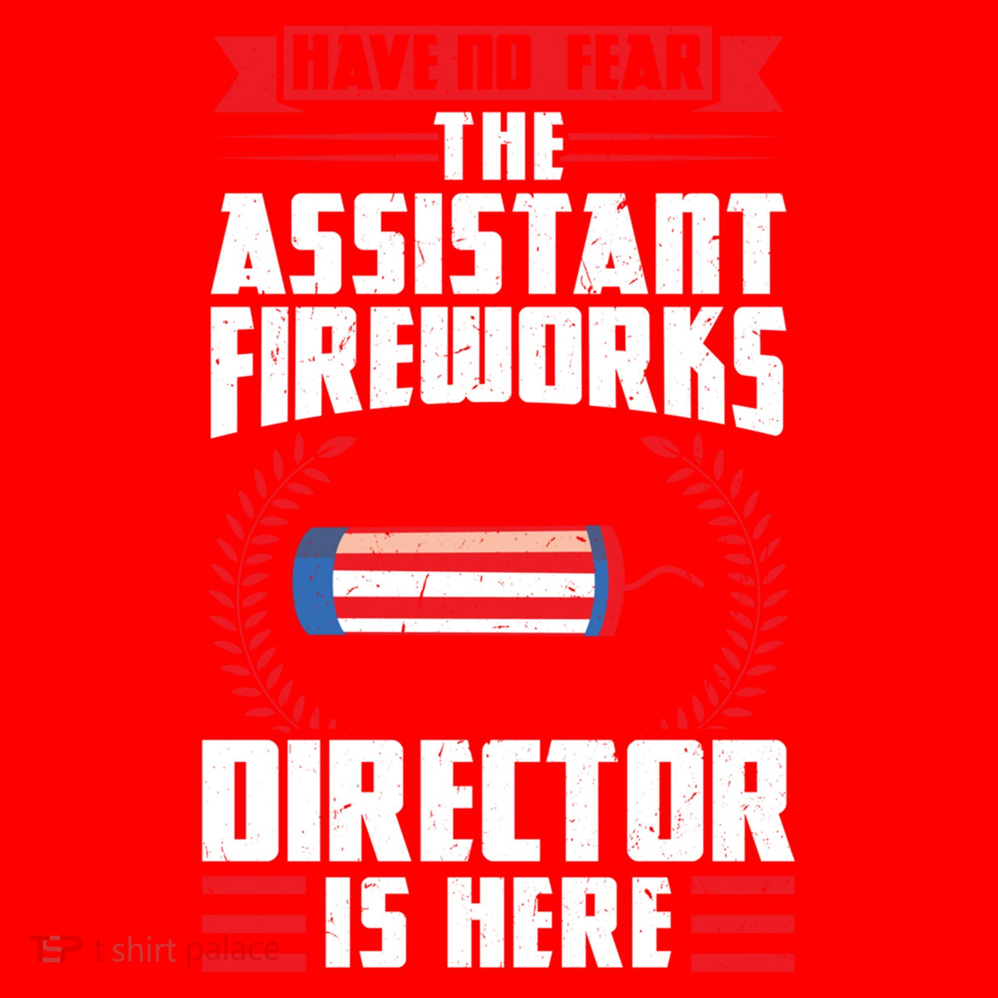 Have No Fear The Assistant Fireworks Director Firework Usa Funny Gift Santa Hat