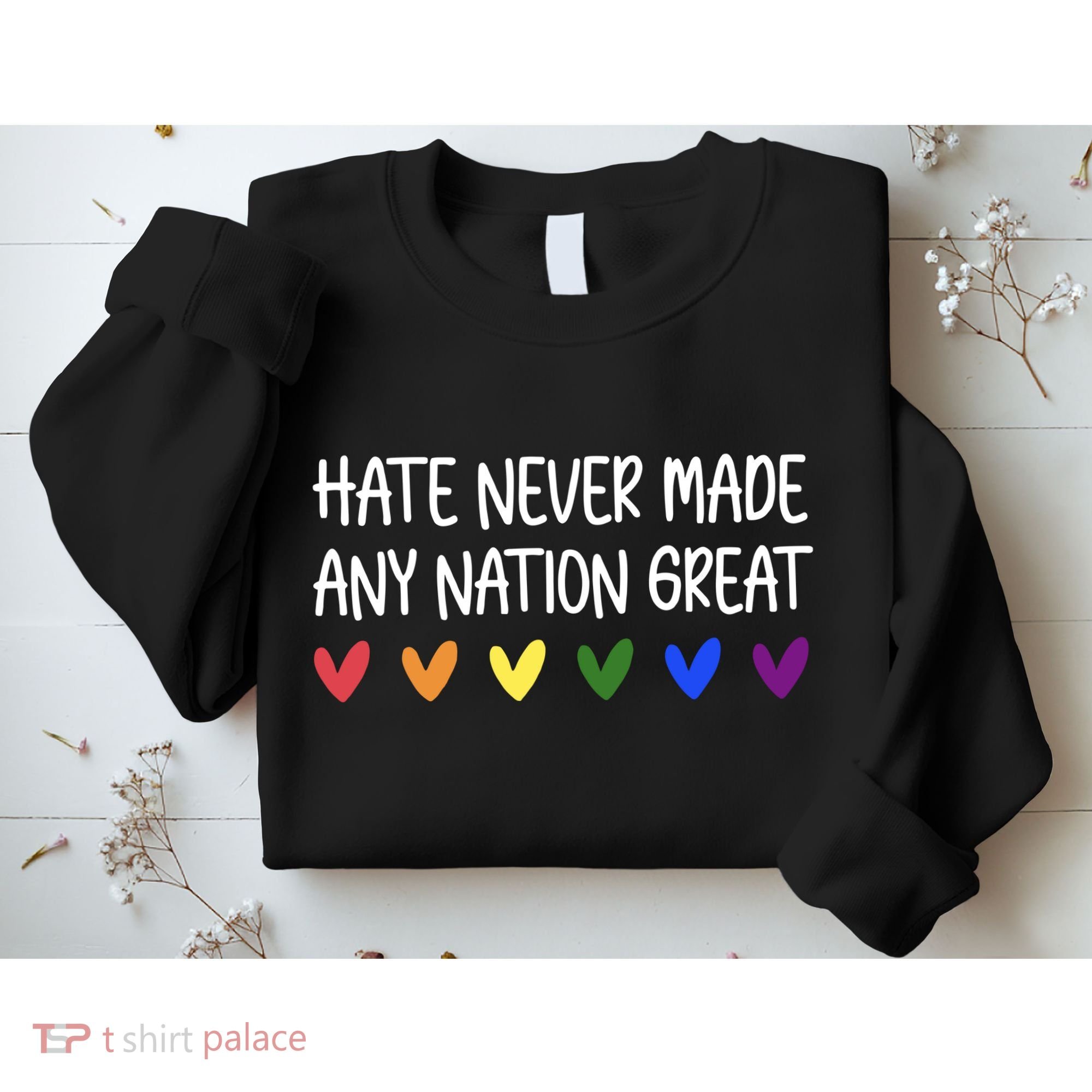 Hate Never Made Any Nation Great Equality Sweatshirt
