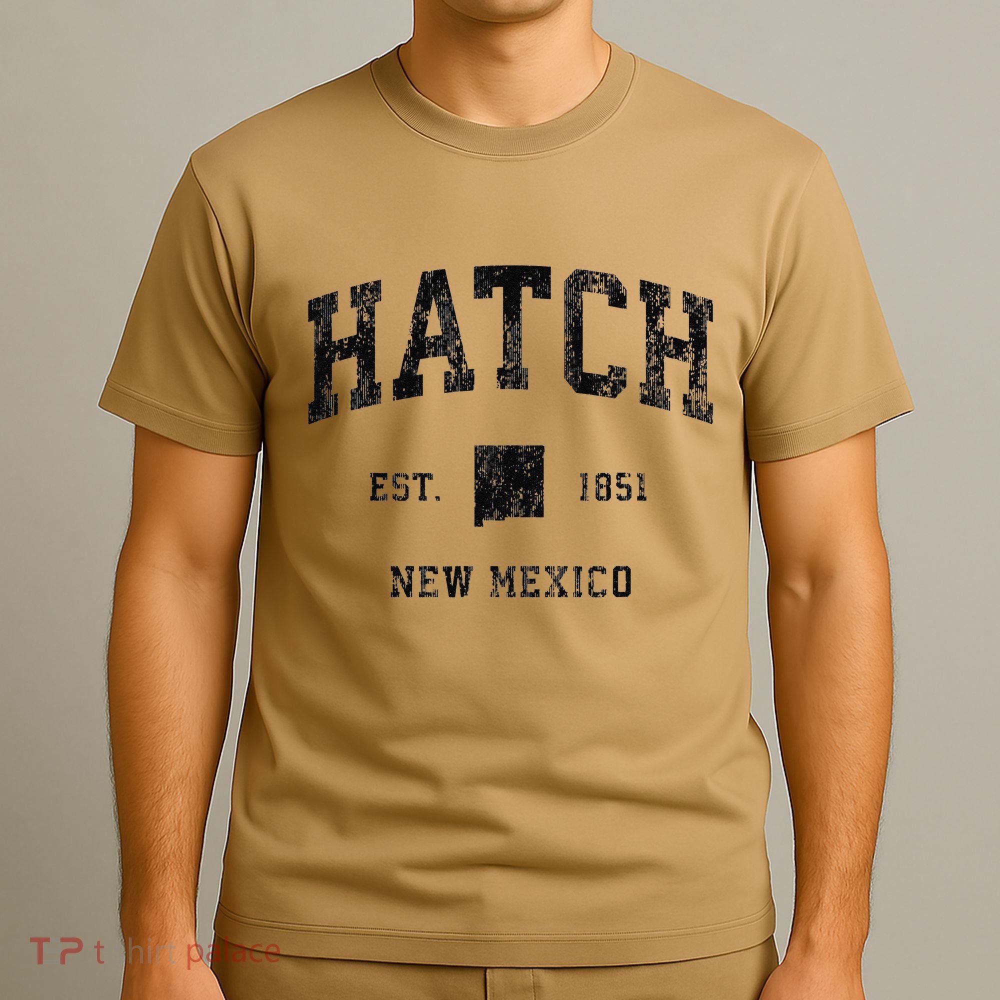 Hatch New Mexico Nm Vintage Athletic Black Sports T-Shirt