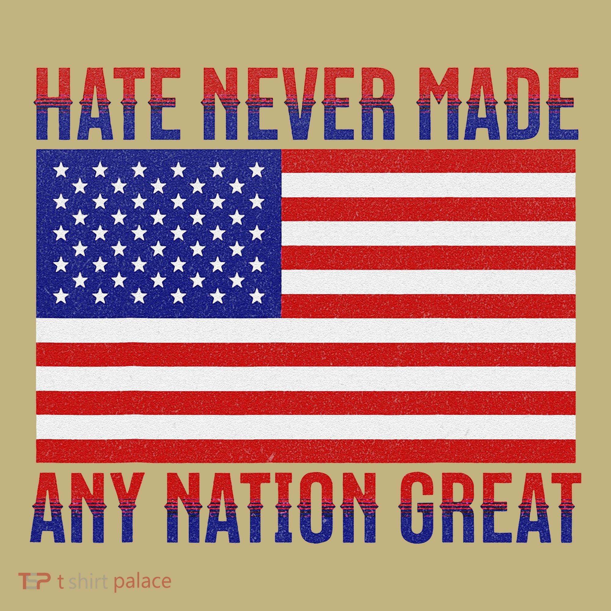Hate Never Made Any Nation Great Usa Flag T-Shirt