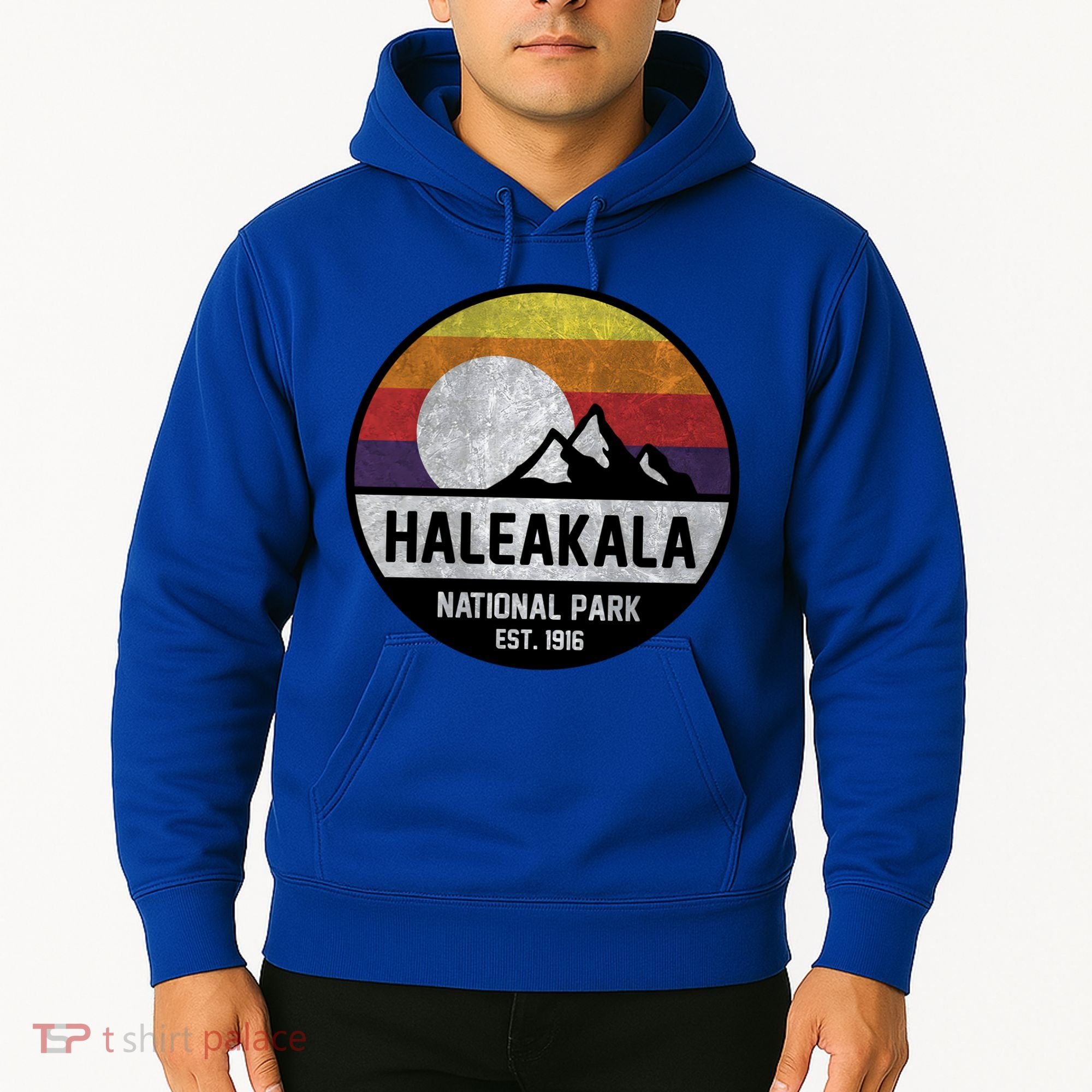 Haleakala National Park Retro Cool Gift Hoodie