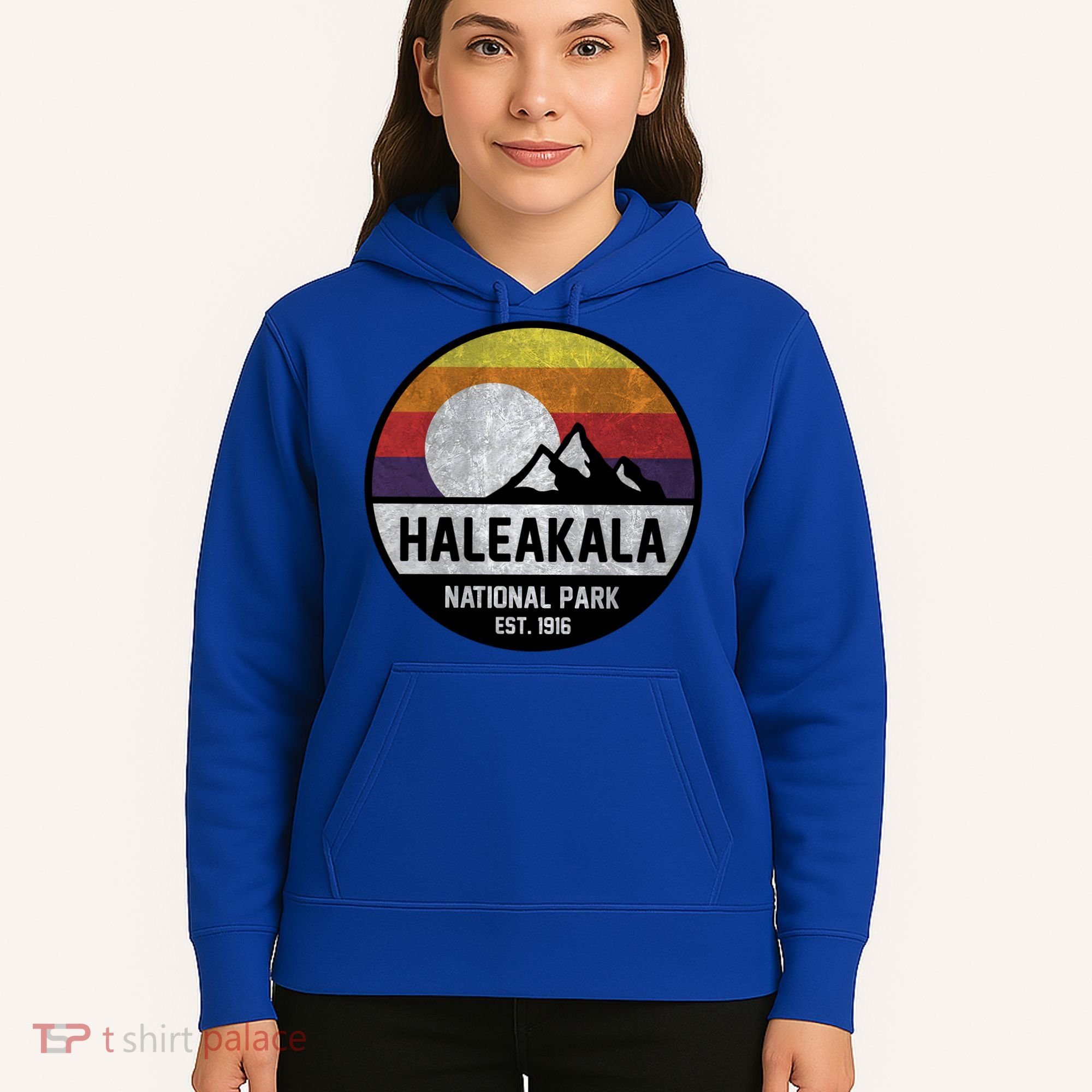 Haleakala National Park Retro Cool Gift Hoodie