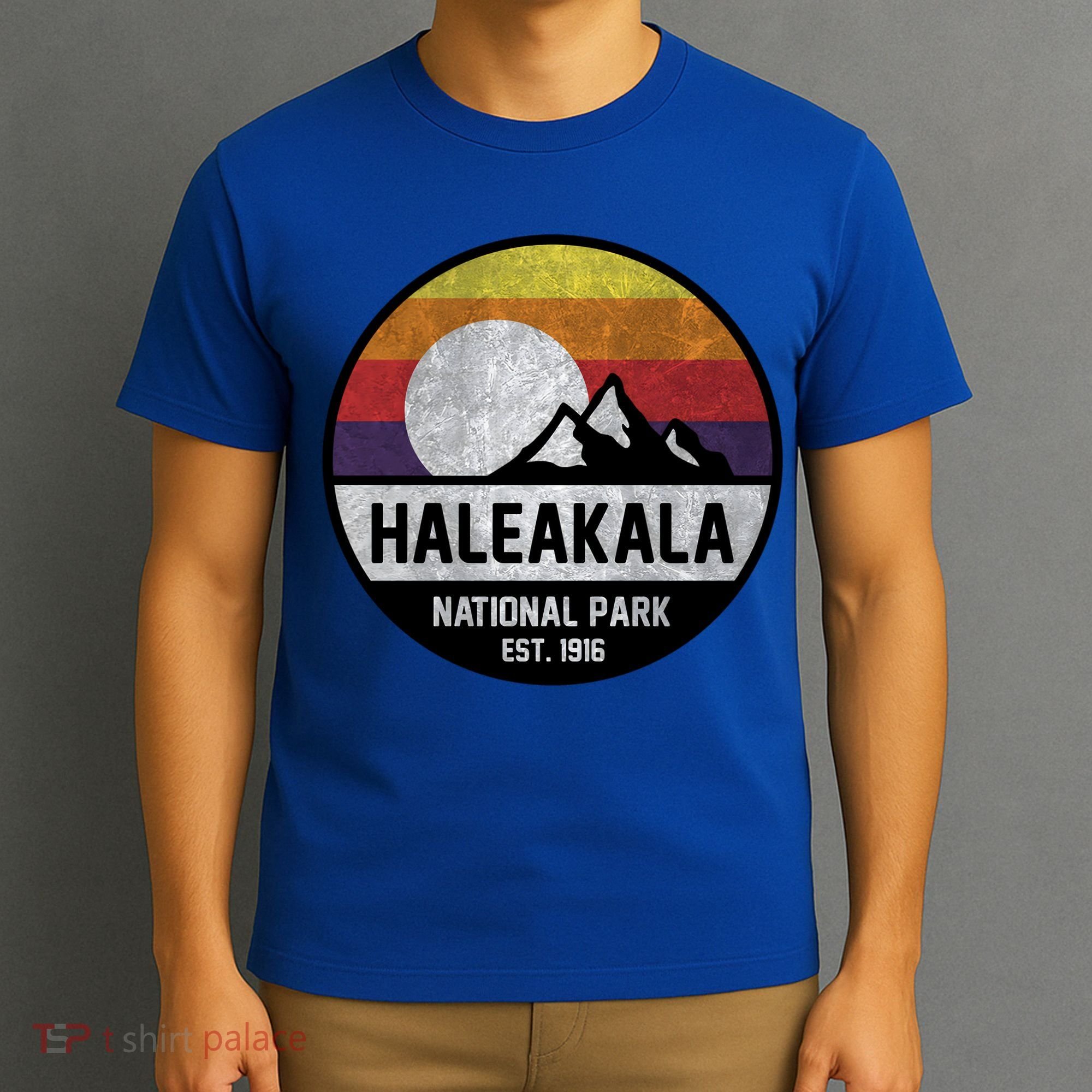 Haleakala National Park Retro Cool Gift T-Shirt