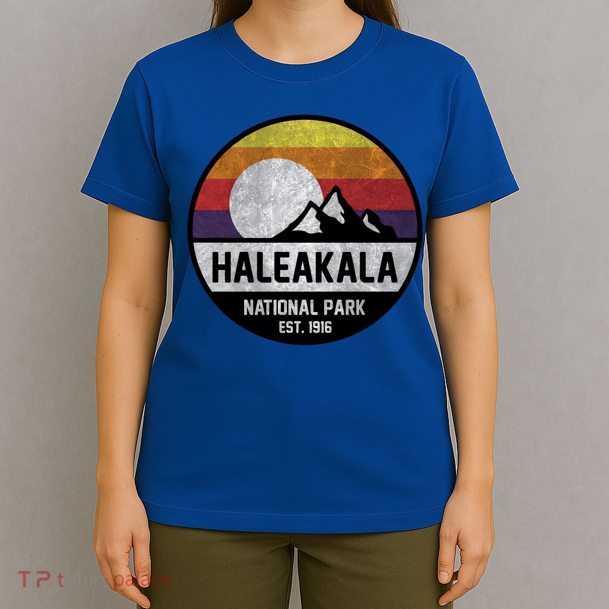 Haleakala National Park Retro Cool Gift T-Shirt