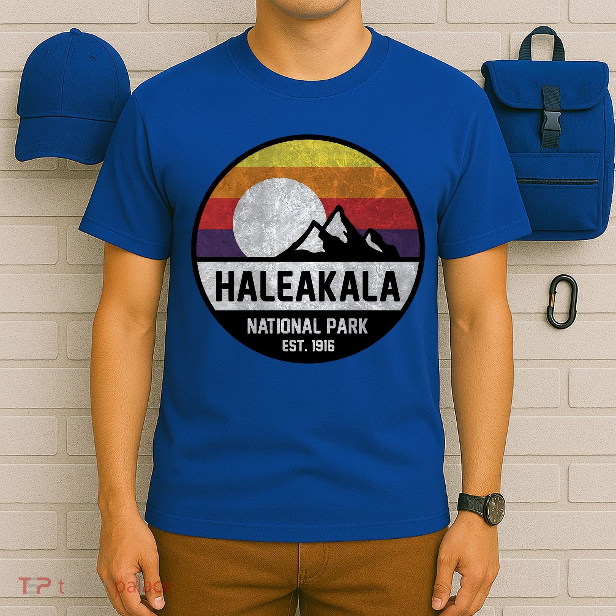 Haleakala National Park Retro Cool Gift T-Shirt