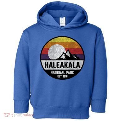 Haleakala National Park Retro Cool Gift Toddler Hoodie