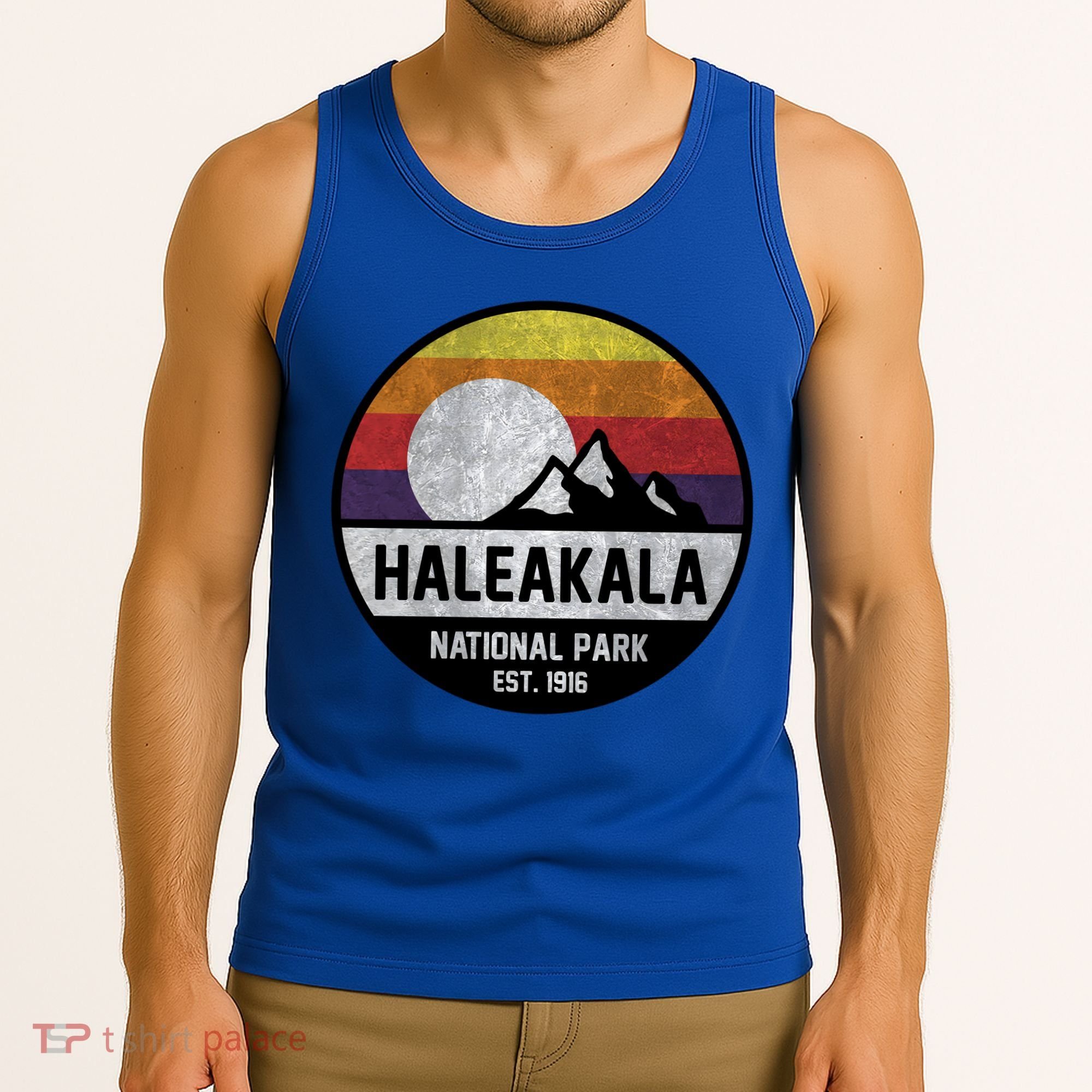 Haleakala National Park Retro Cool Gift Tank Top