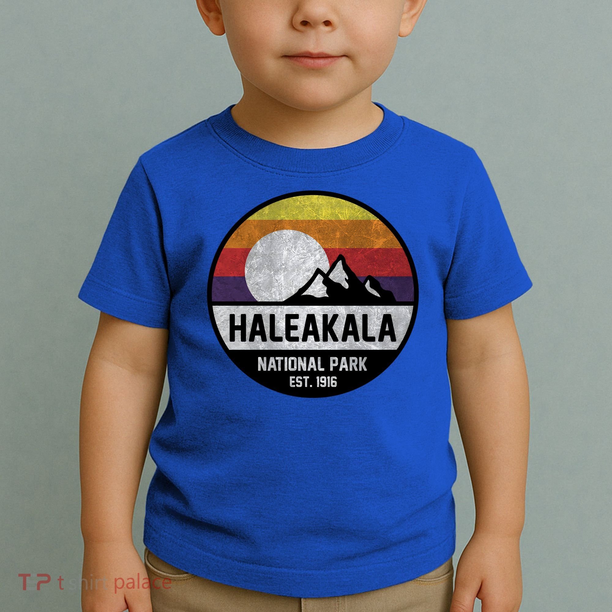 Haleakala National Park Retro Cool Gift Toddler T-Shirt