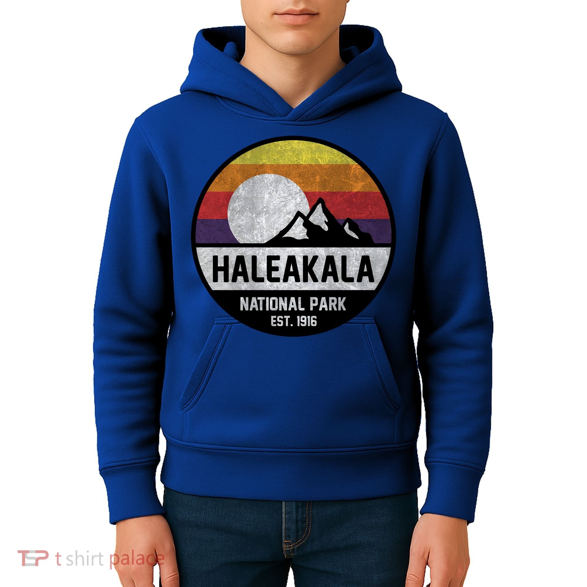 Haleakala National Park Retro Cool Gift Kids Hoodie