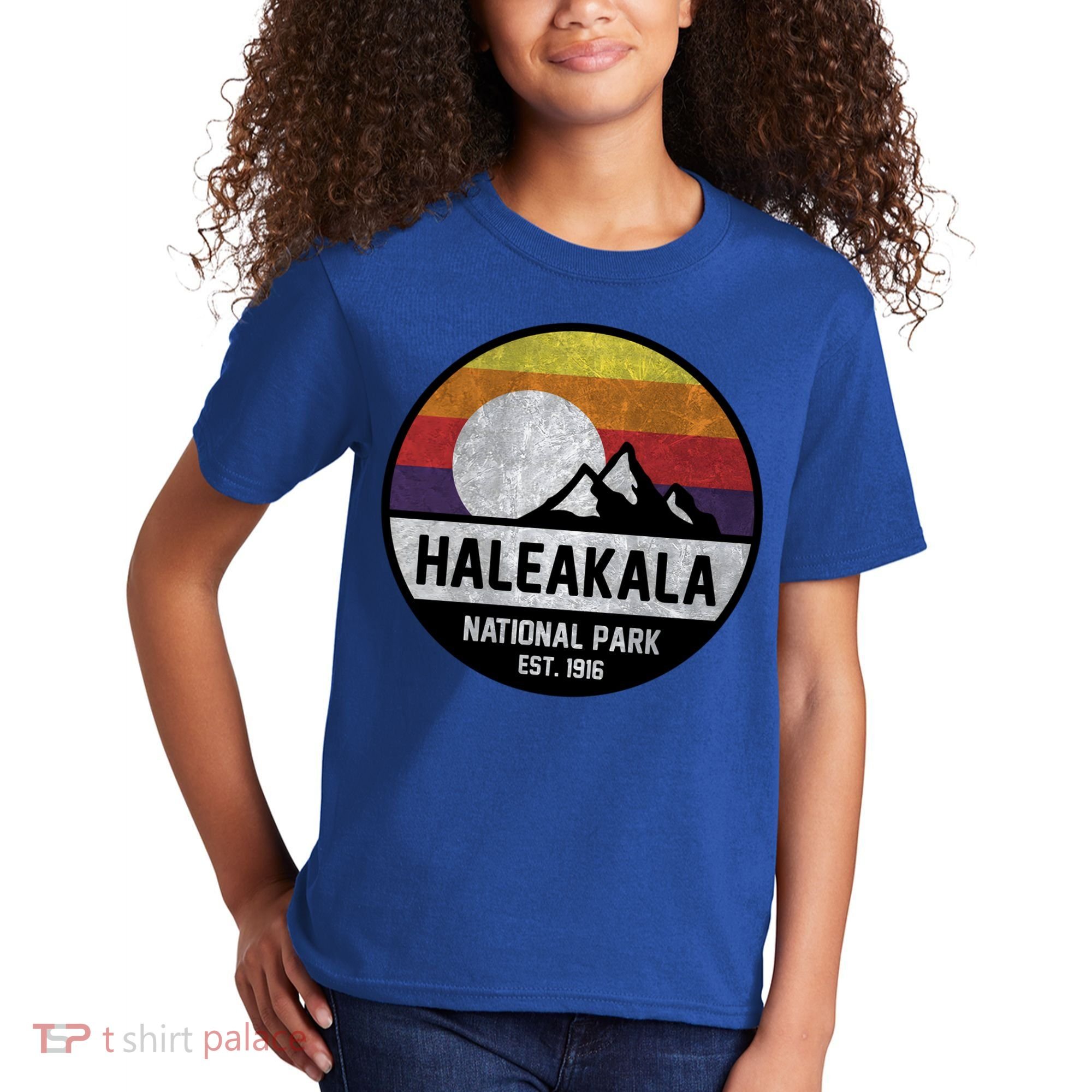 Haleakala National Park Retro Cool Gift Kids T-Shirt