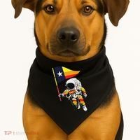 Houston Name Proud Classic Art Astronaut USA-Made Doggie Bandana thumb 1