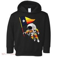 Houston Name Proud Classic Art Astronaut Toddler Hoodie thumb 0