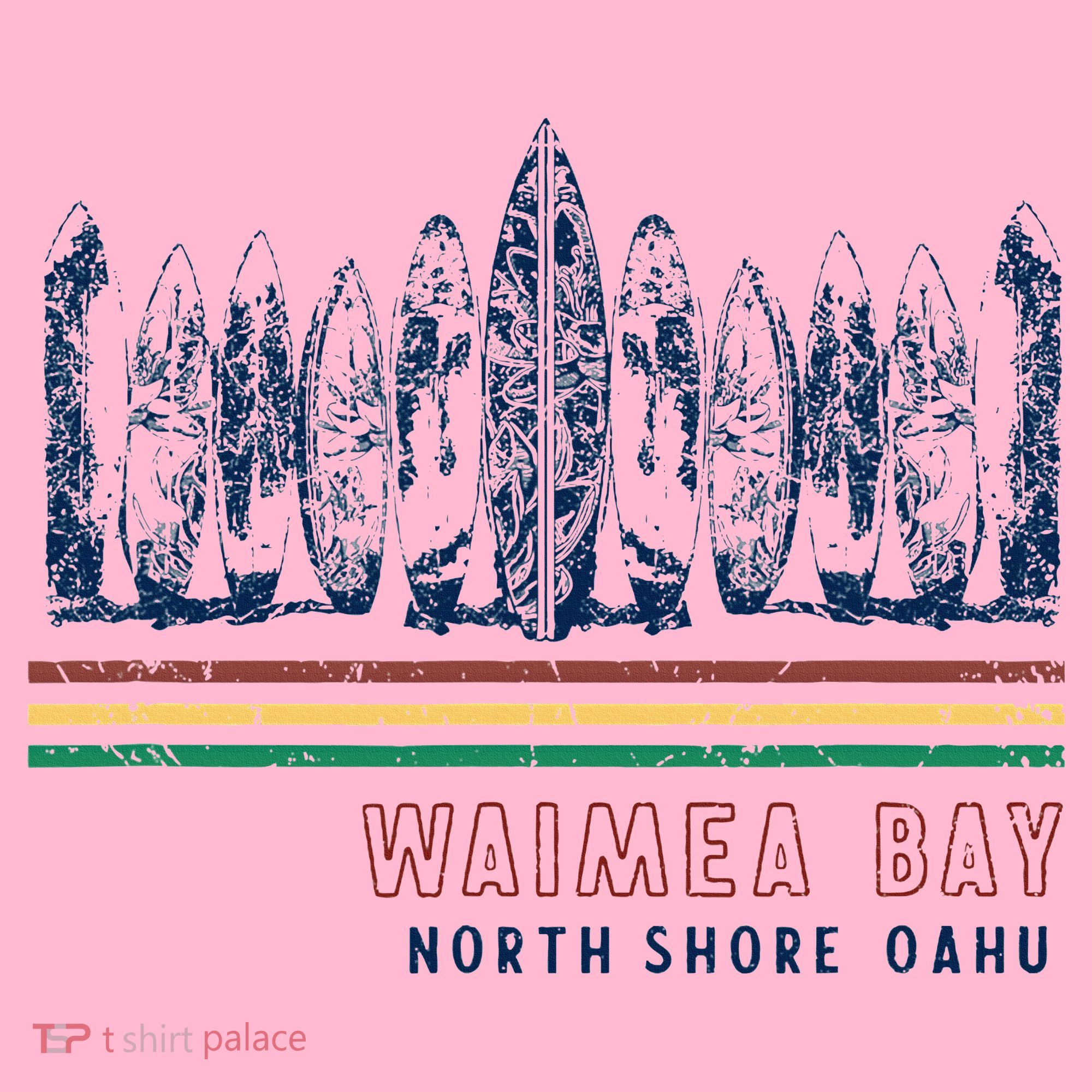Hawaii North Shore Oahu Waimea Bay Coaster