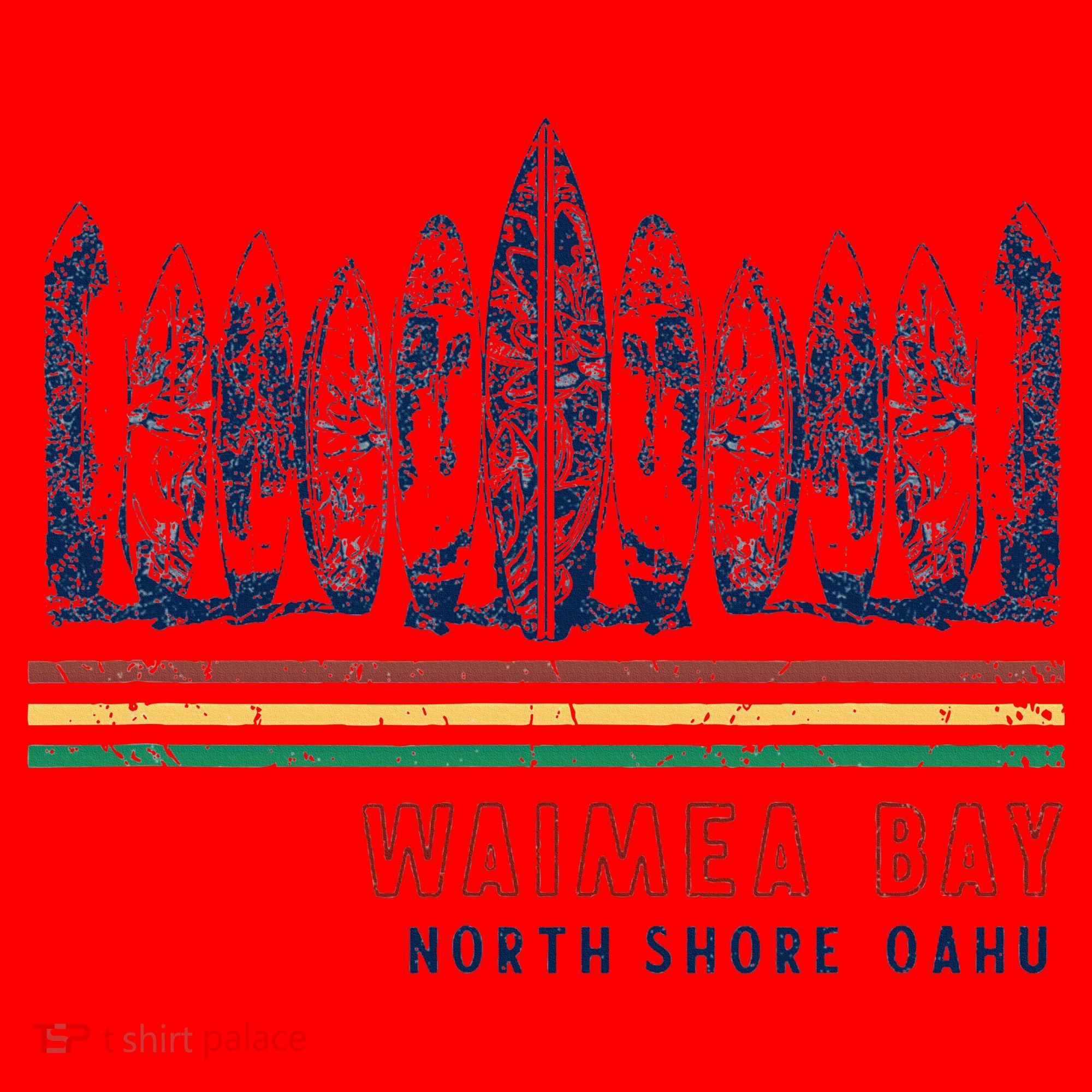 Hawaii North Shore Oahu Waimea Bay Santa Hat