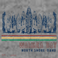 Hawaii North Shore Oahu Waimea Bay Retro Surfing Toddler Hoodie thumb 2