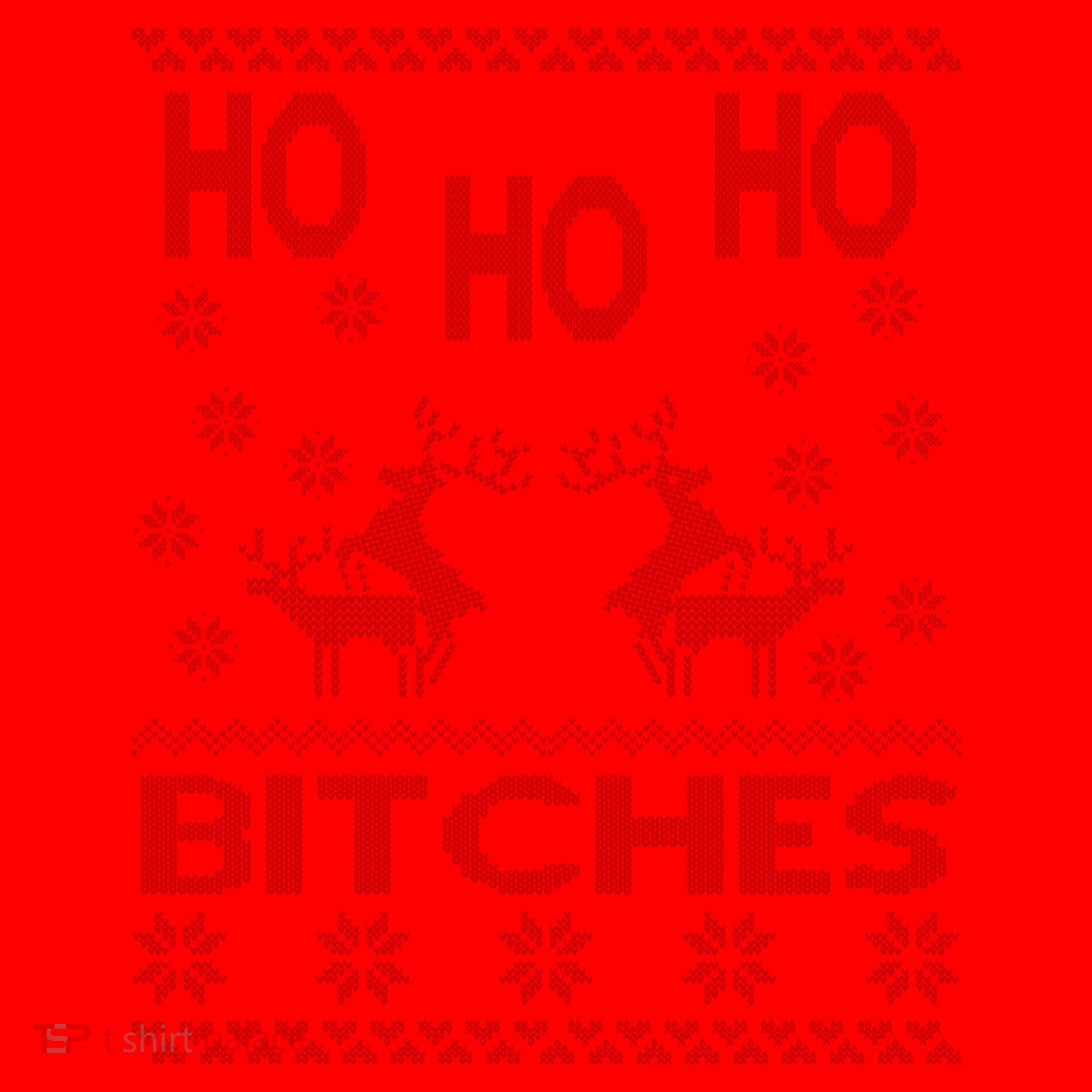 Ho Ho Ho Bitches X-Mas Ugly Christmas Santa Hat