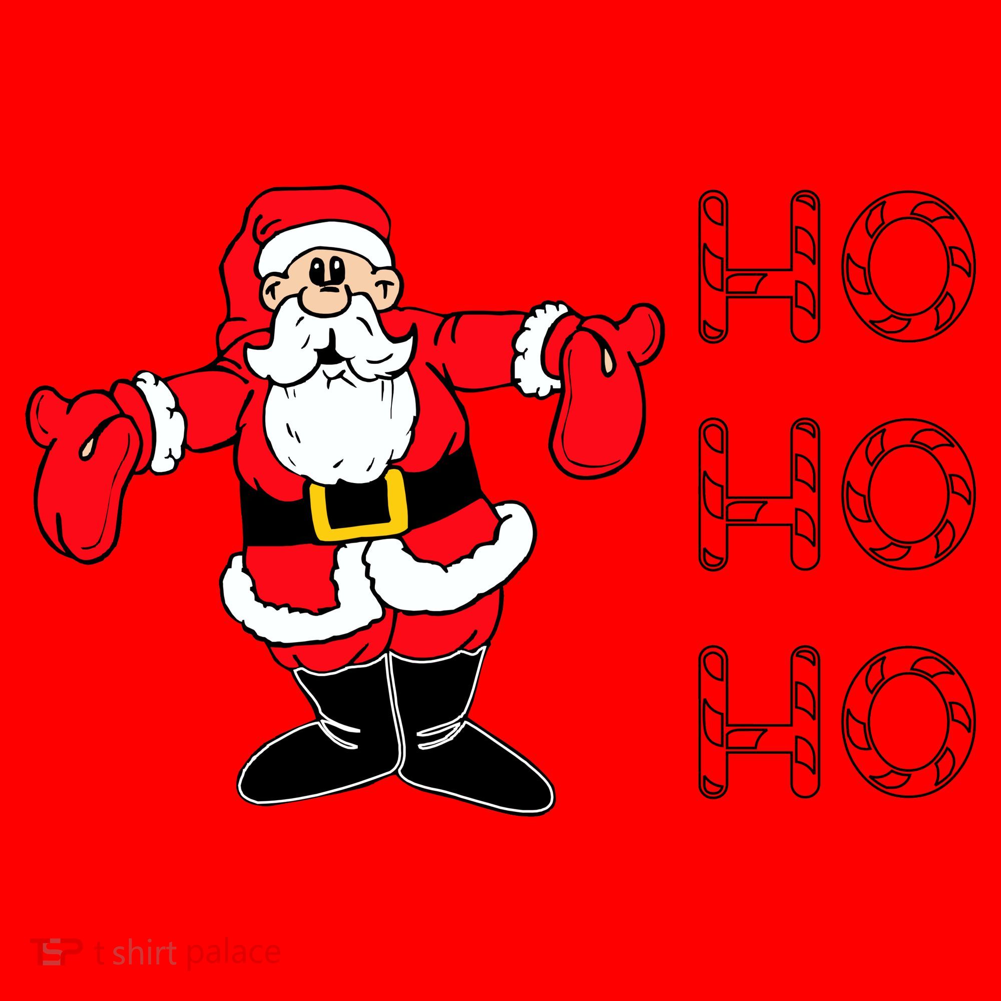 Ho Ho Ho Santa Santa Hat