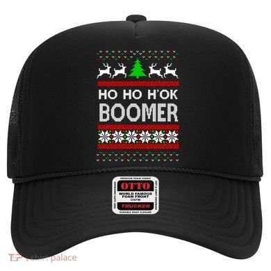 Ho Ho H'ok Boomer Ugly Christmas Hat