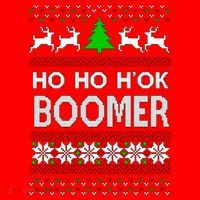 Ho Ho H'ok Boomer Ugly Christmas Santa Hat thumb 1