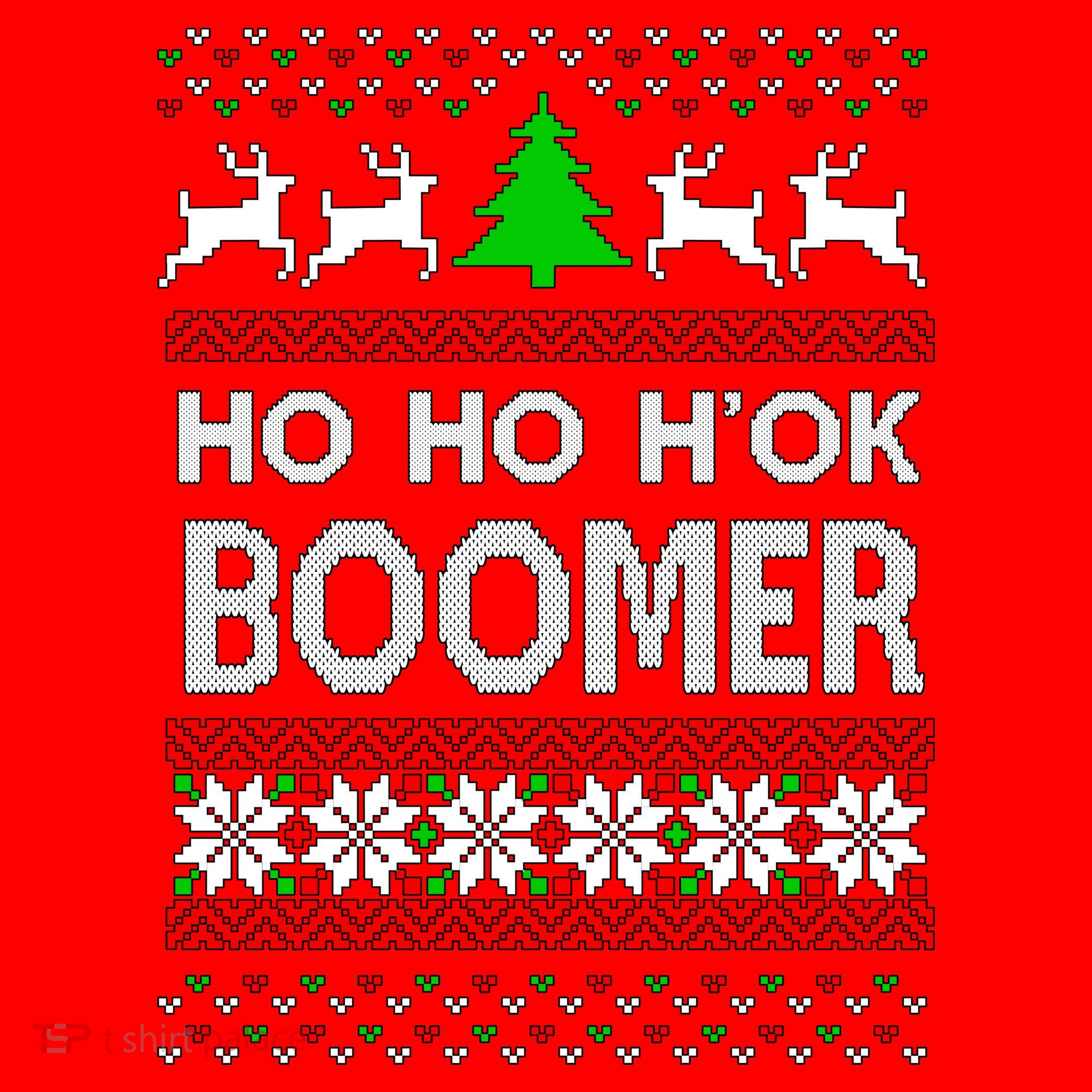 Ho Ho H'ok Boomer Ugly Christmas Santa Hat