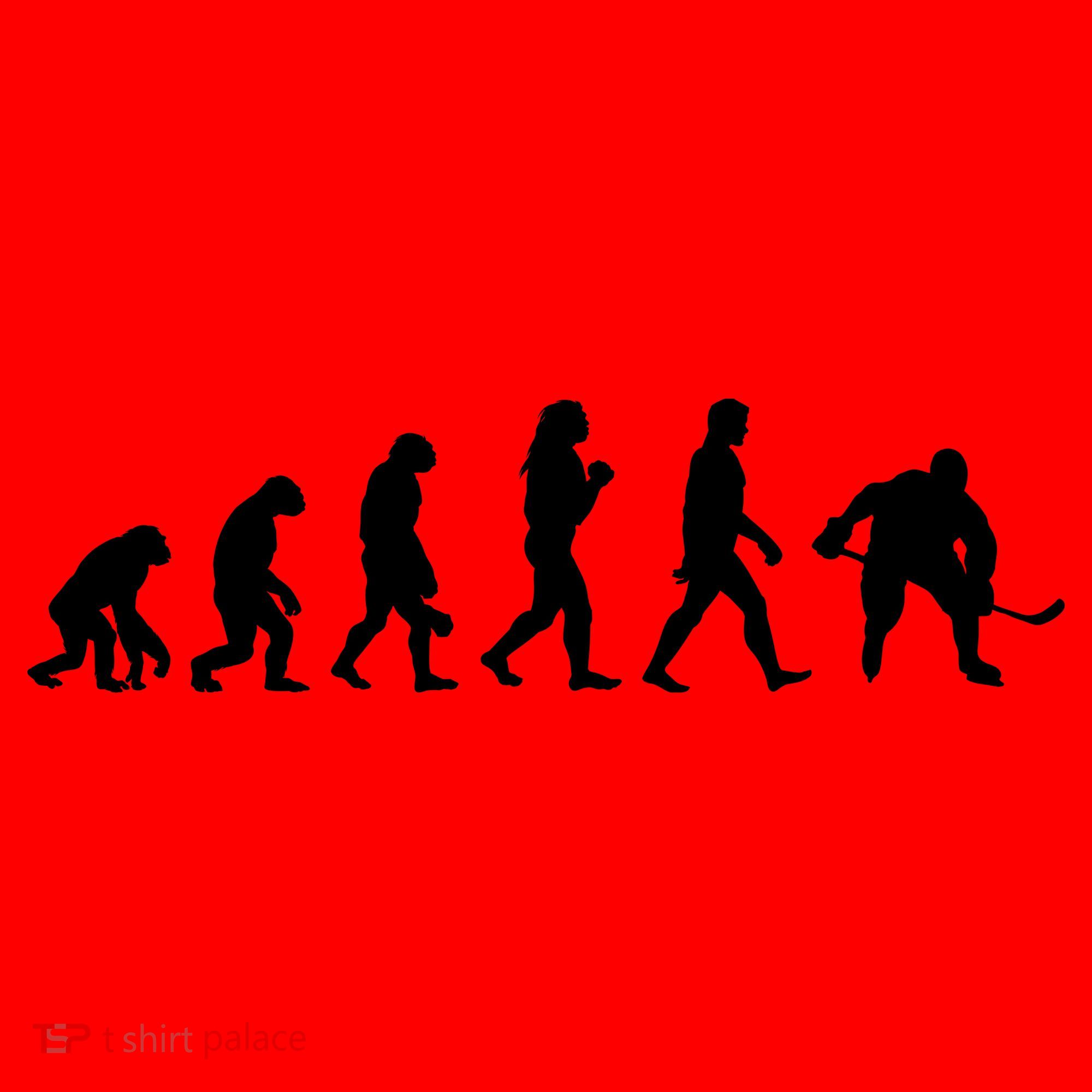 Hockey Evolution Santa Hat