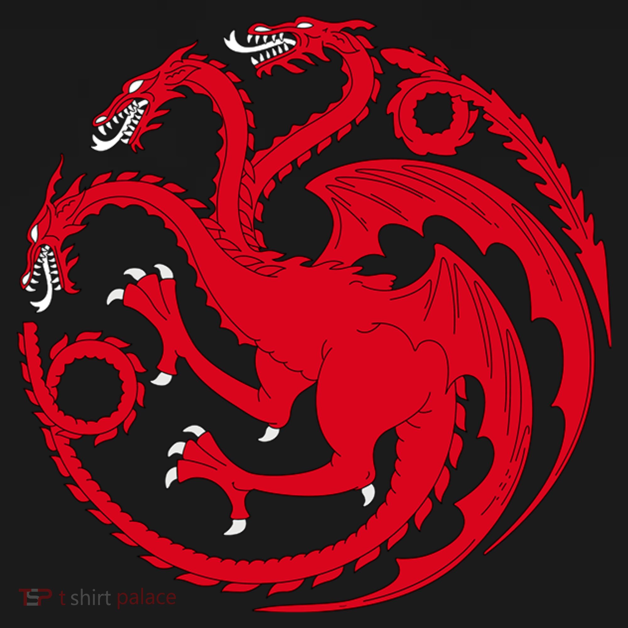 House Of Dragons Coaster