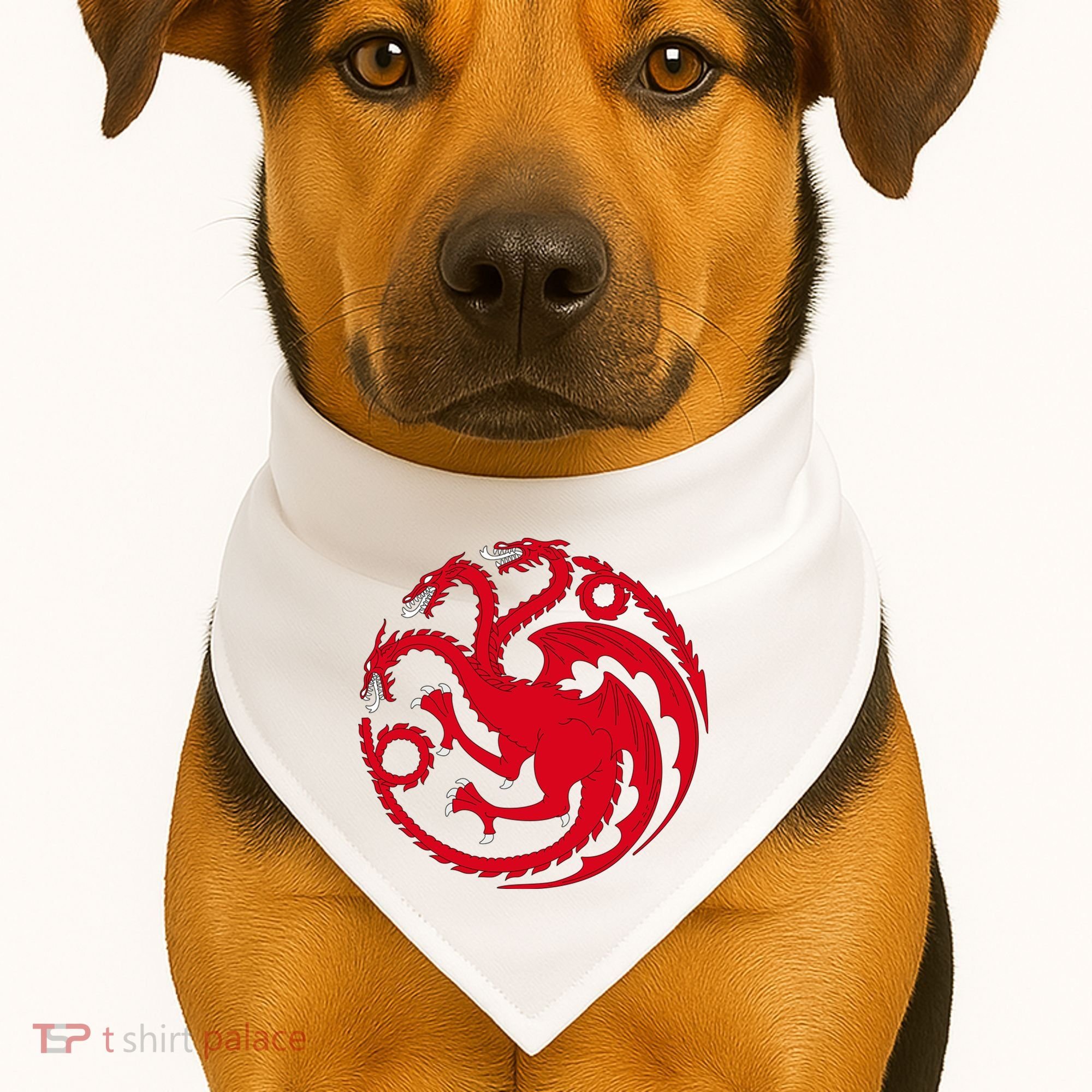 House Of Dragons USA-Made Doggie Bandana