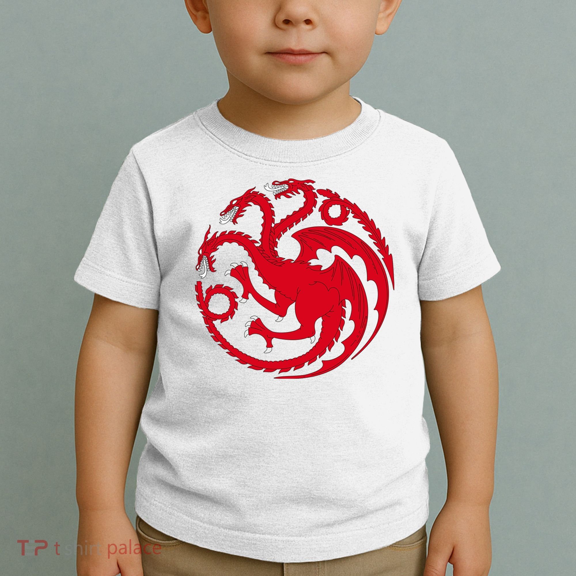 House Of Dragons Toddler T-Shirt