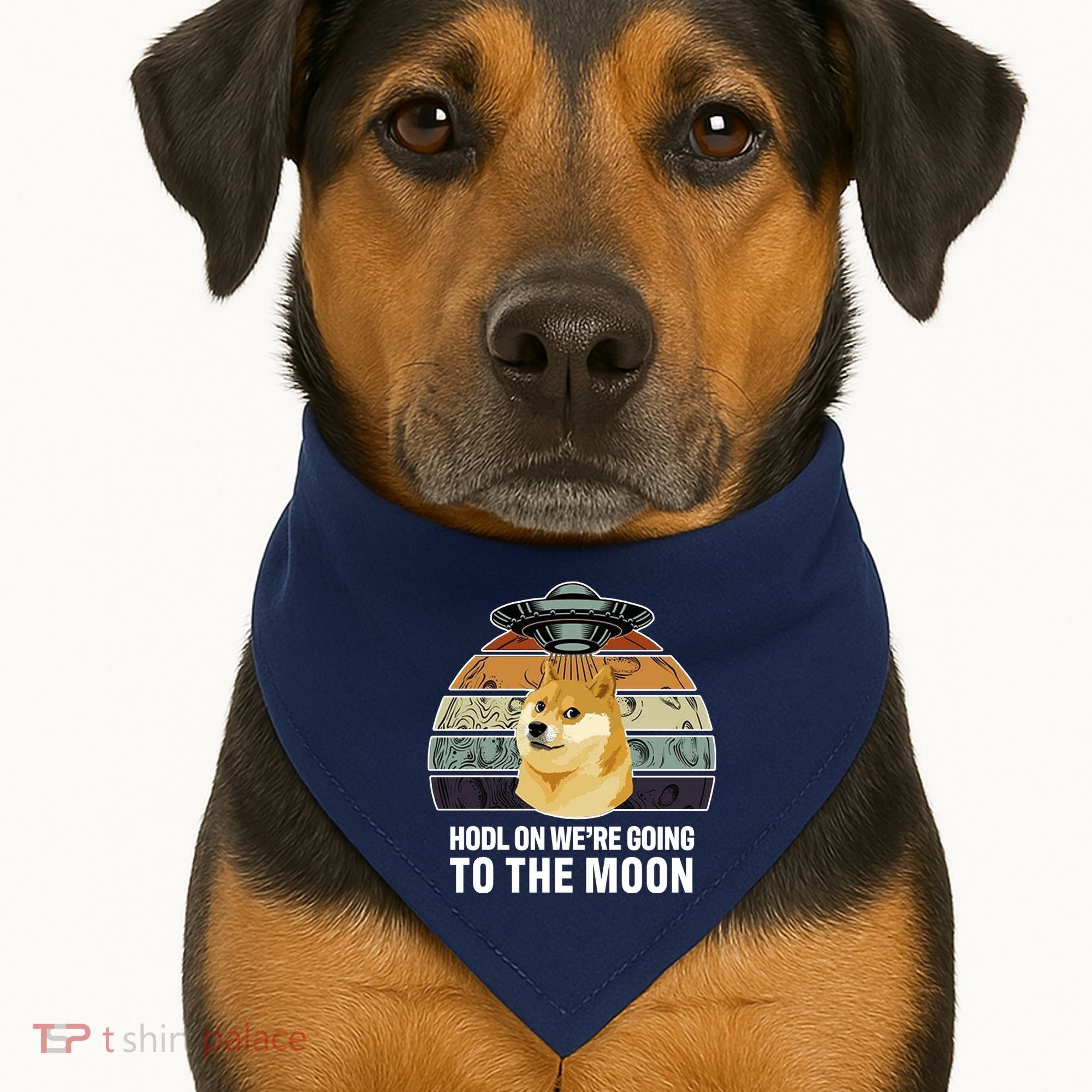 Hodl On We're Going To The Moon Retro Dogecoin USA-Made Doggie Bandana