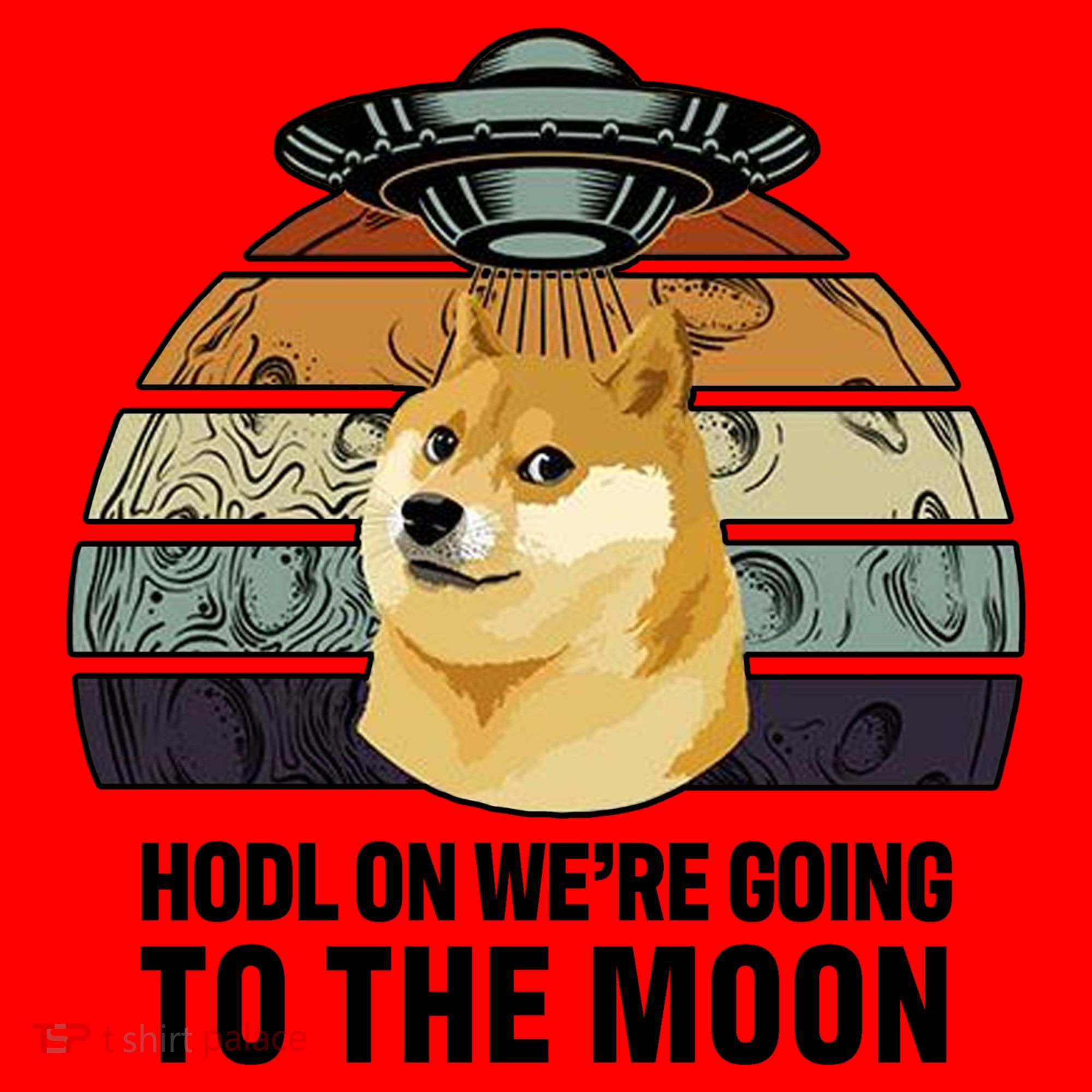 Hodl On We're Going To The Moon Retro Dogecoin Santa Hat