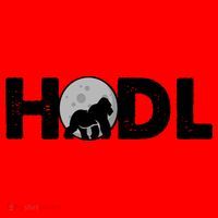 Hodl Stonk to the Moon Ape Crypto Currency Santa Hat thumb 1