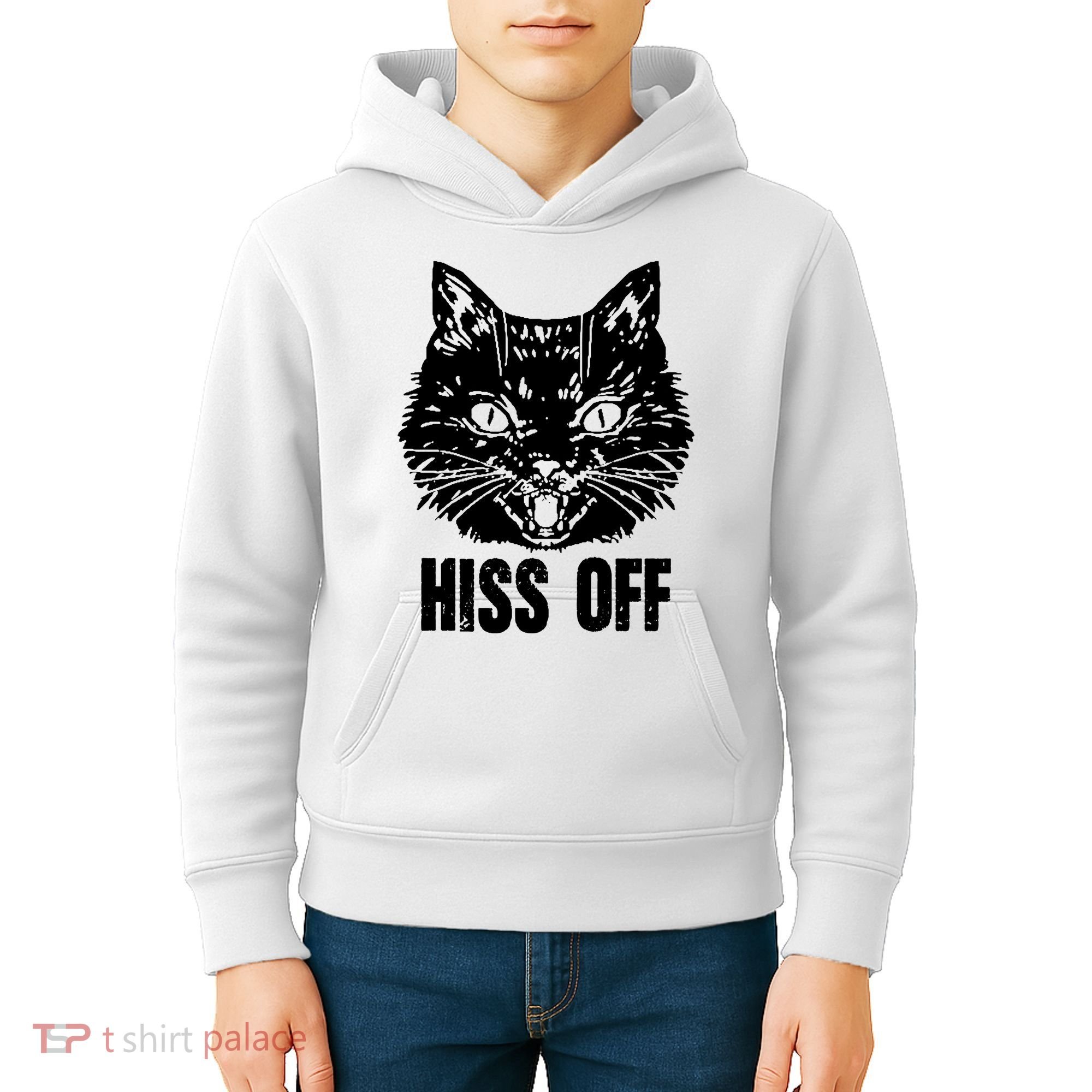 Hiss Off Funny Cat Lover Gift Kids Hoodie