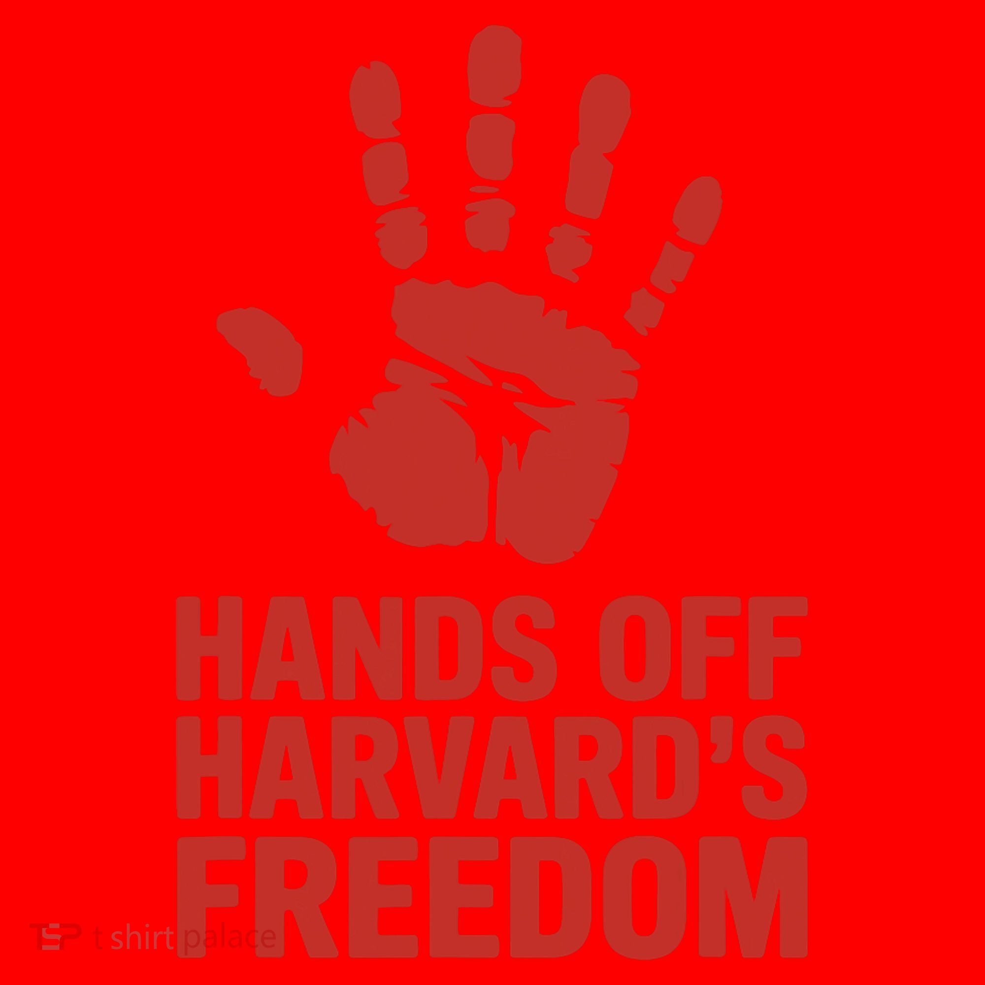 Hands Off Freedom Of Speech, Resist & Persist  Santa Hat