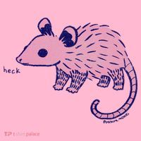 Heck Opossum Funny Animal Gift For  Coaster thumb 2