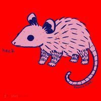 Heck Opossum Funny Animal Gift For  Santa Hat thumb 1
