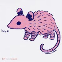 Heck Opossum Funny Animal Gift For  Women's Tank Top thumb 5