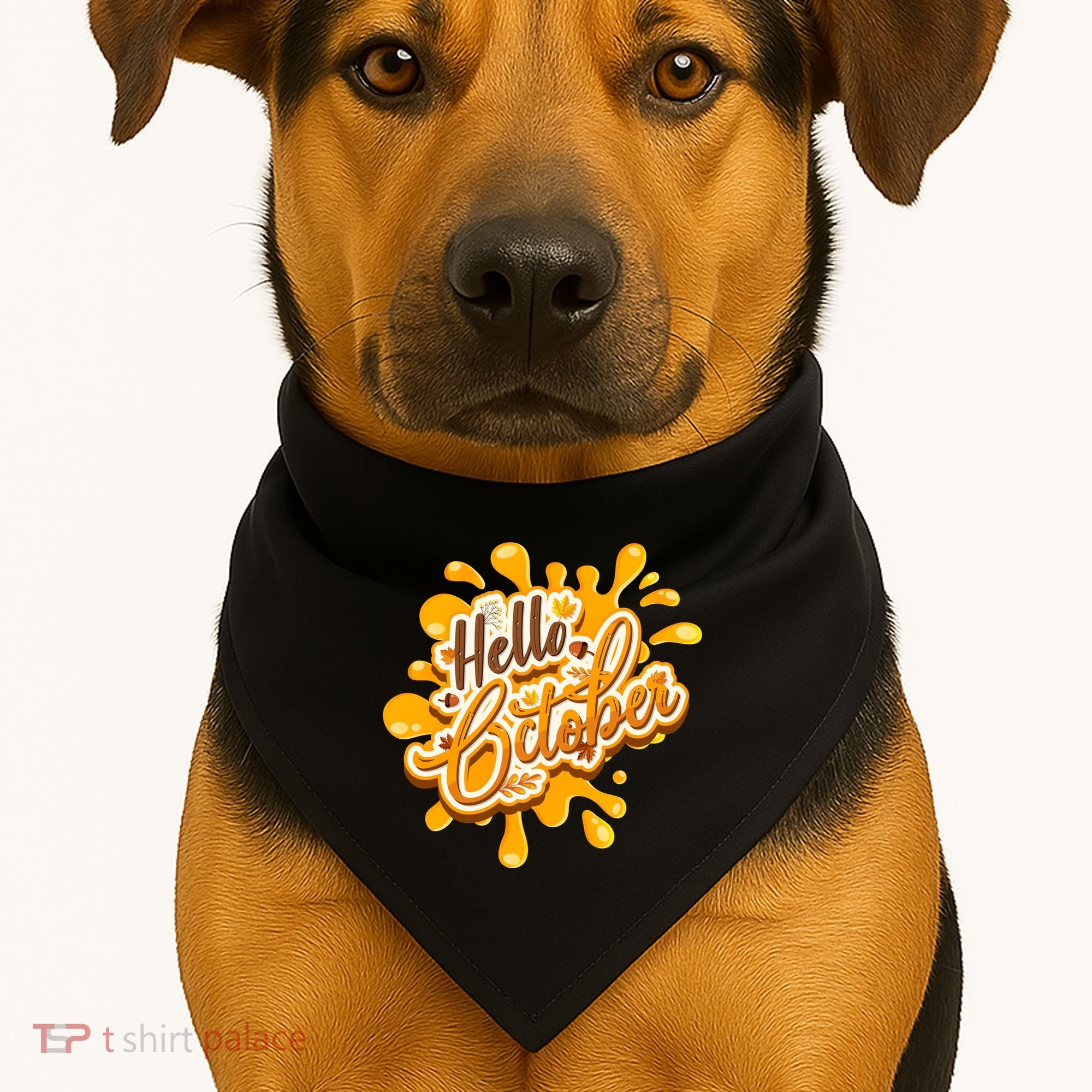 Hello October Fun Fall USA-Made Doggie Bandana
