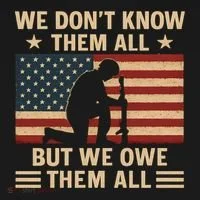 Honoring Our Heroes Toddler Hoodie thumb 2