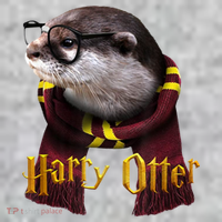 Harry Otter Sweatshirt thumb 2