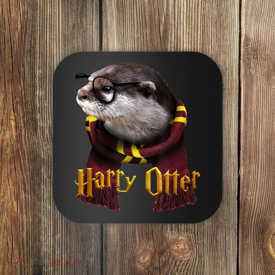 Harry Otter Coaster