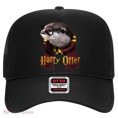 Harry Otter Hat
