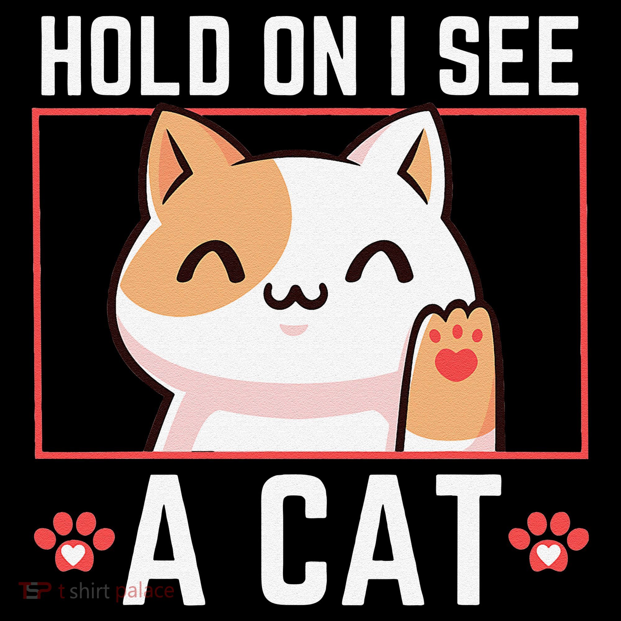 Hold On I See A Cat Funny Sarcastic Cat Lovers Women Coffee Mug