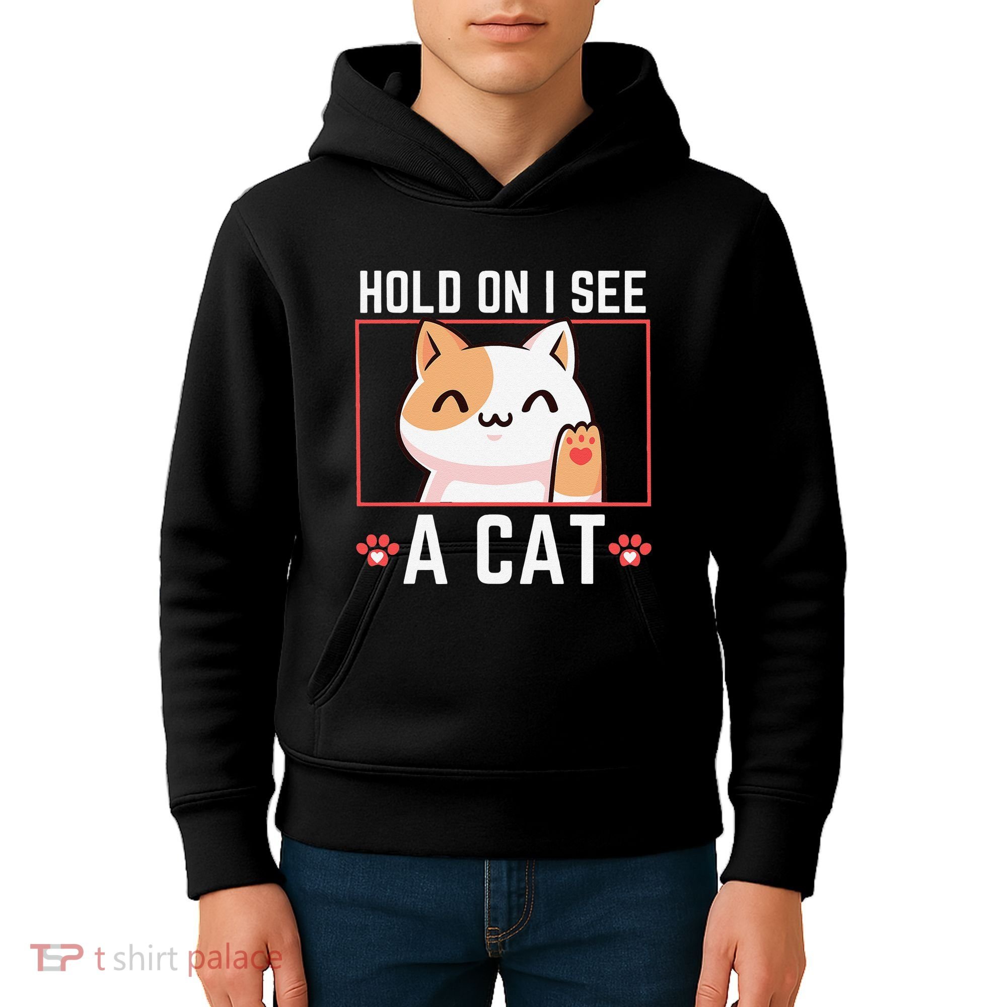 Hold On I See A Cat Funny Sarcastic Cat Lovers Women Kids Hoodie